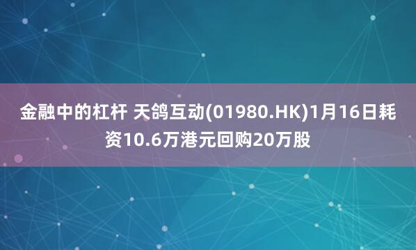 金融中的杠杆 天鸽互动(01980.HK)1月16日耗资10.6万港元回购20万股