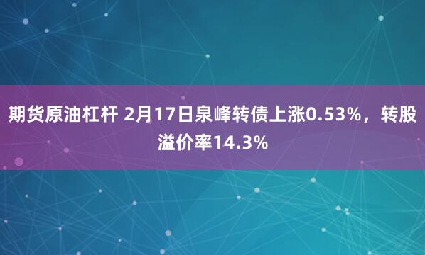 期货原油杠杆 2月17日泉峰转债上涨0.53%，转股溢价率14.3%
