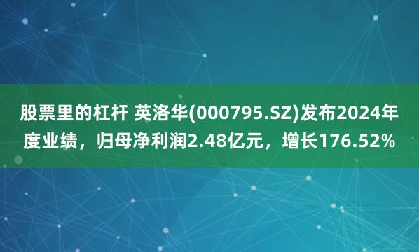 股票里的杠杆 英洛华(000795.SZ)发布2024年度业绩，归母净利润2.48亿元，增长176.52%