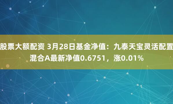 股票大额配资 3月28日基金净值：九泰天宝灵活配置混合A最新净值0.6751，涨0.01%