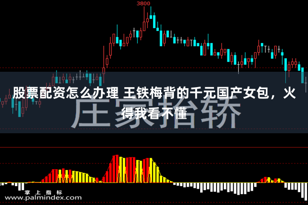 股票配资怎么办理 王铁梅背的千元国产女包，火得我看不懂