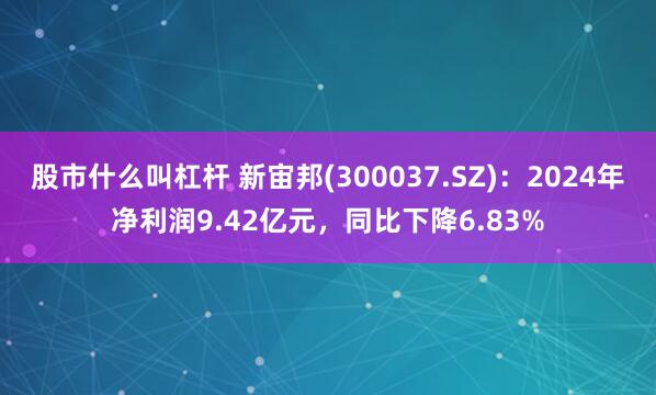 股市什么叫杠杆 新宙邦(300037.SZ)：2024年净利润9.42亿元，同比下降6.83%