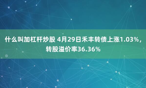 什么叫加杠杆炒股 4月29日禾丰转债上涨1.03%，转股溢价率36.36%