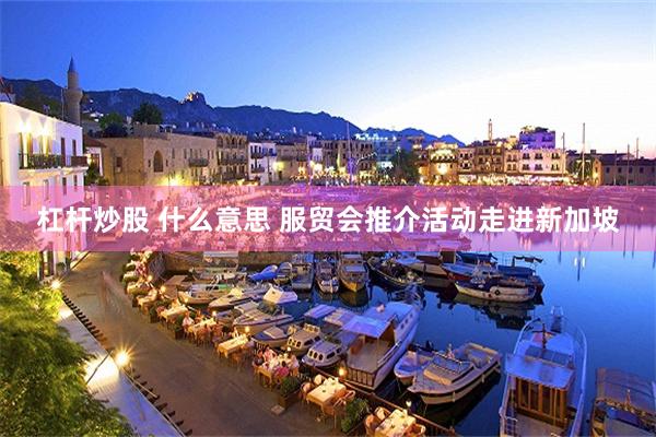 杠杆炒股 什么意思 服贸会推介活动走进新加坡
