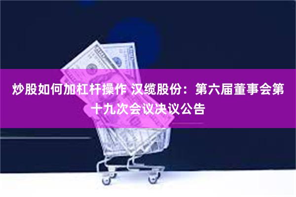 炒股如何加杠杆操作 汉缆股份：第六届董事会第十九次会议决议公告