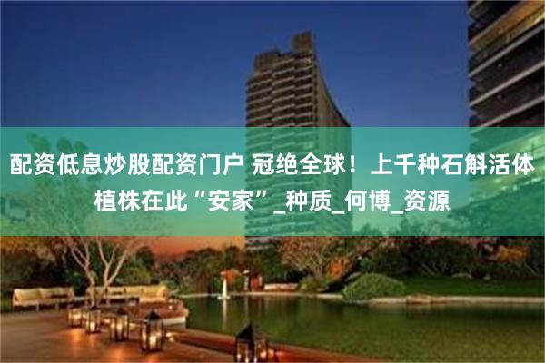 配资低息炒股配资门户 冠绝全球！上千种石斛活体植株在此“安家”_种质_何博_资源