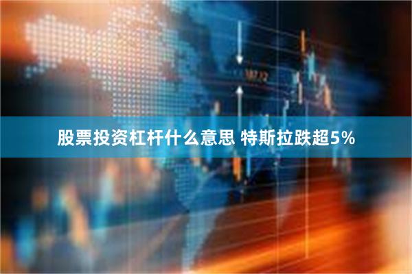 股票投资杠杆什么意思 特斯拉跌超5%