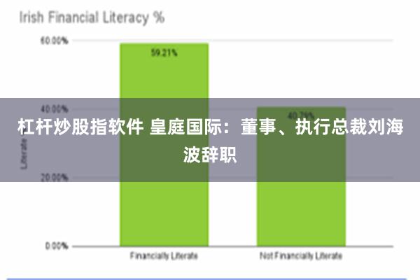 杠杆炒股指软件 皇庭国际：董事、执行总裁刘海波辞职