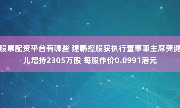 股票配资平台有哪些 建鹏控股获执行董事兼主席龚健儿增持2305万股 每股作价0.0991港元