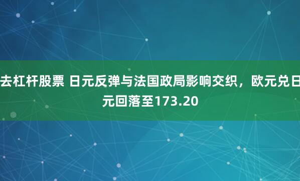 去杠杆股票 日元反弹与法国政局影响交织，欧元兑日元回落至173.20