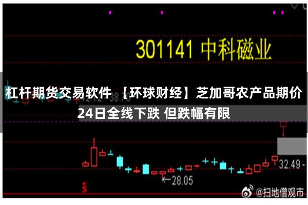 杠杆期货交易软件 【环球财经】芝加哥农产品期价24日全线下跌 但跌幅有限