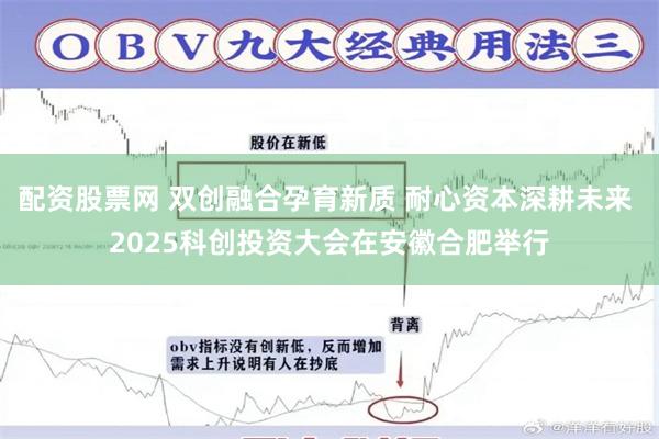 配资股票网 双创融合孕育新质 耐心资本深耕未来 2025科创投资大会在安徽合肥举行